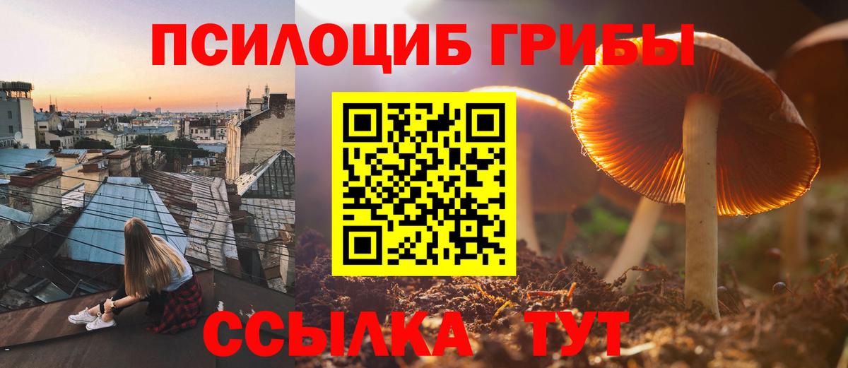Псилоцибиновые грибы MAGIC MUSHROOMS  Псилоцибиновые грибы Cubensis  Вход с VPN  Котлас 